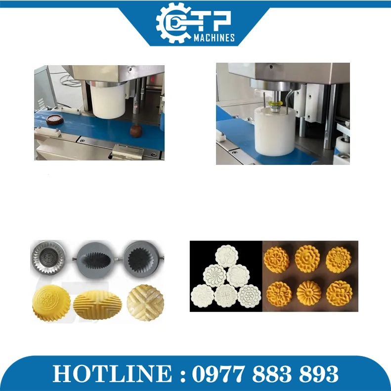 Thiên Phú chuyên phân phối dây chuyền sản xuất bánh trung thu chính hãng