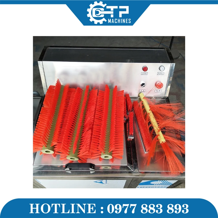 Dây Chuyền Đóng Bình Nước 20L TGTP-200 - Ảnh 3