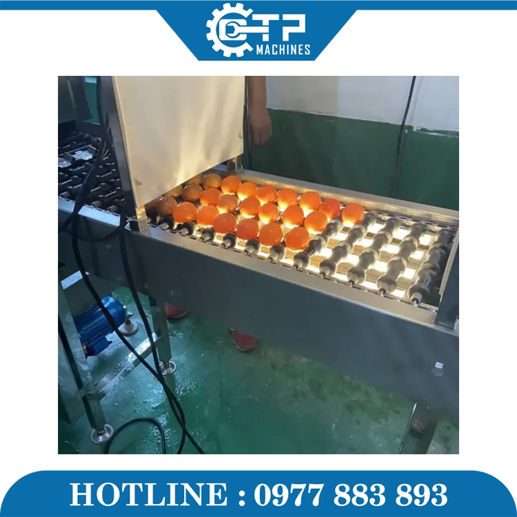 Dây Chuyền Rửa Và Sấy Khô Trứng - Ảnh 5