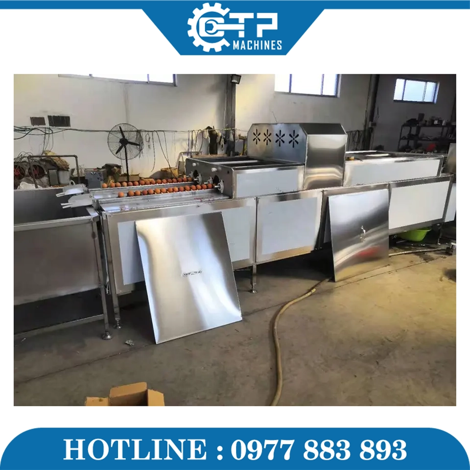 Dây Chuyền Rửa Và Sấy Khô Trứng - Ảnh 3