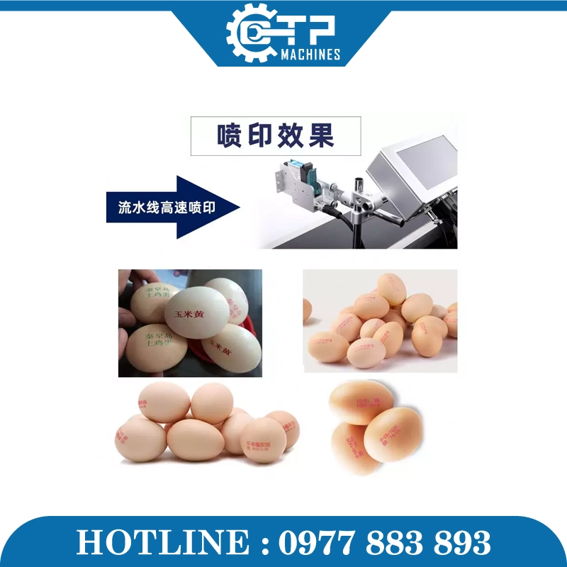 Máy In Date Phun Mã Ký Hiệu Lên Trứng T2 - Ảnh 5