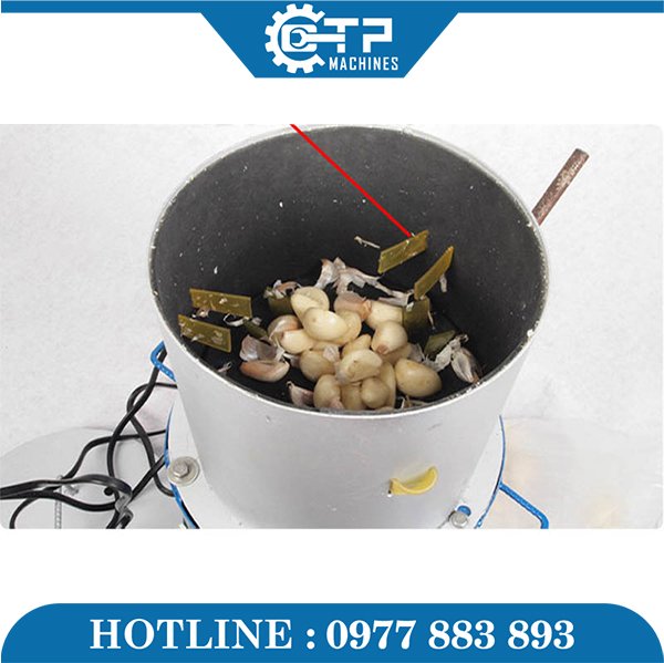 Máy Bóc Vỏ Hành Tỏi DF-340 - Ảnh 5