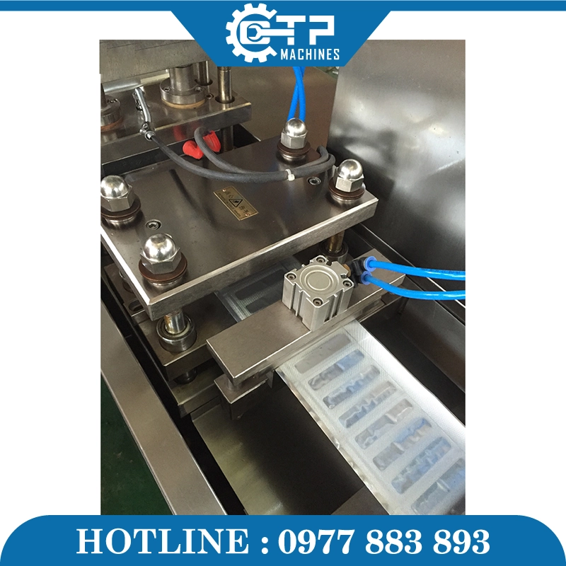Máy Đóng Gói Vỉ Thuốc Dạng Lỏng DPB-140 - Ảnh 3