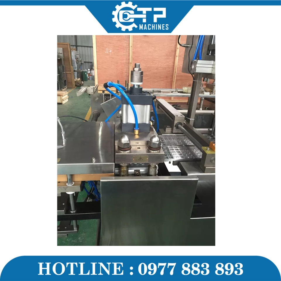 Máy Đóng Gói Vỉ Thuốc – Viên Nang DPB-250E - Ảnh 5