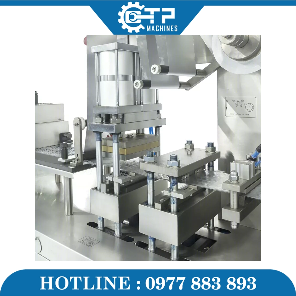 Máy Ép Vỉ Thuốc DPP-150 - Ảnh 6