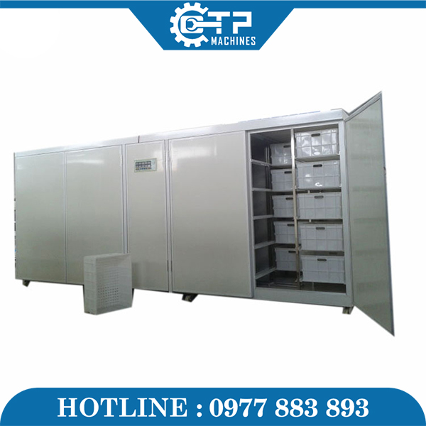 Máy Làm Giá Đỗ 500kg - Ảnh 6