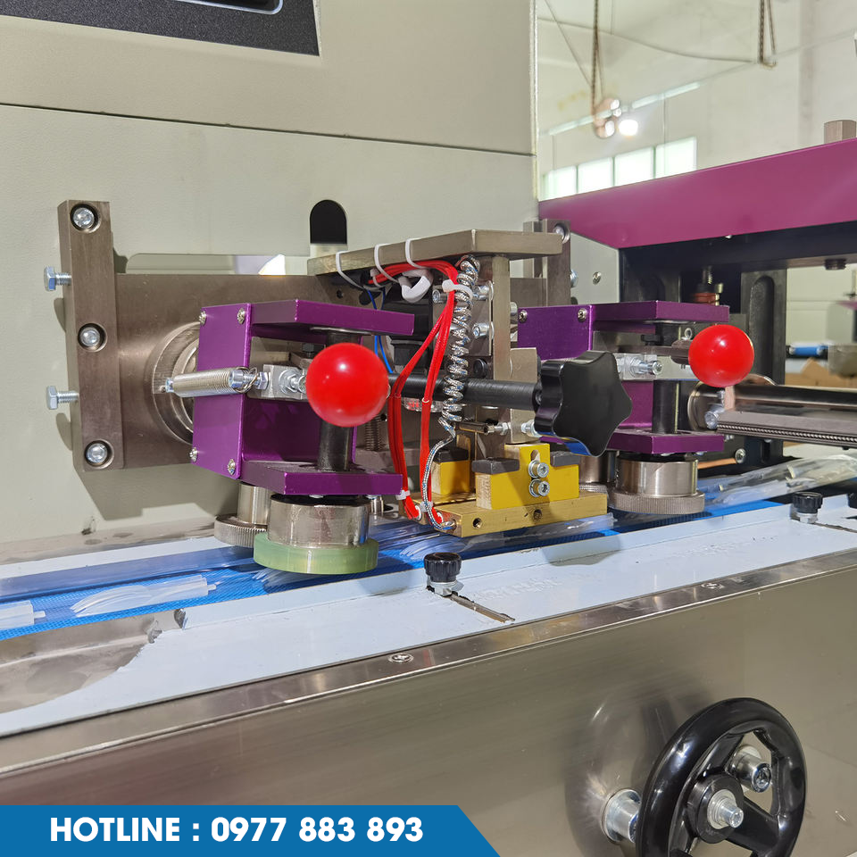 MÁY ĐÓNG GÓI BÁNH BÔNG LAN - Ảnh 4